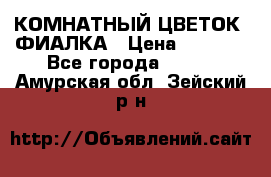 КОМНАТНЫЙ ЦВЕТОК -ФИАЛКА › Цена ­ 1 500 - Все города  »    . Амурская обл.,Зейский р-н